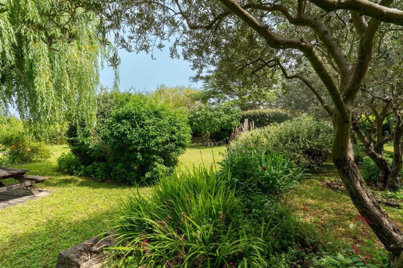 Villa La Mireio Malaucène Exterior foto